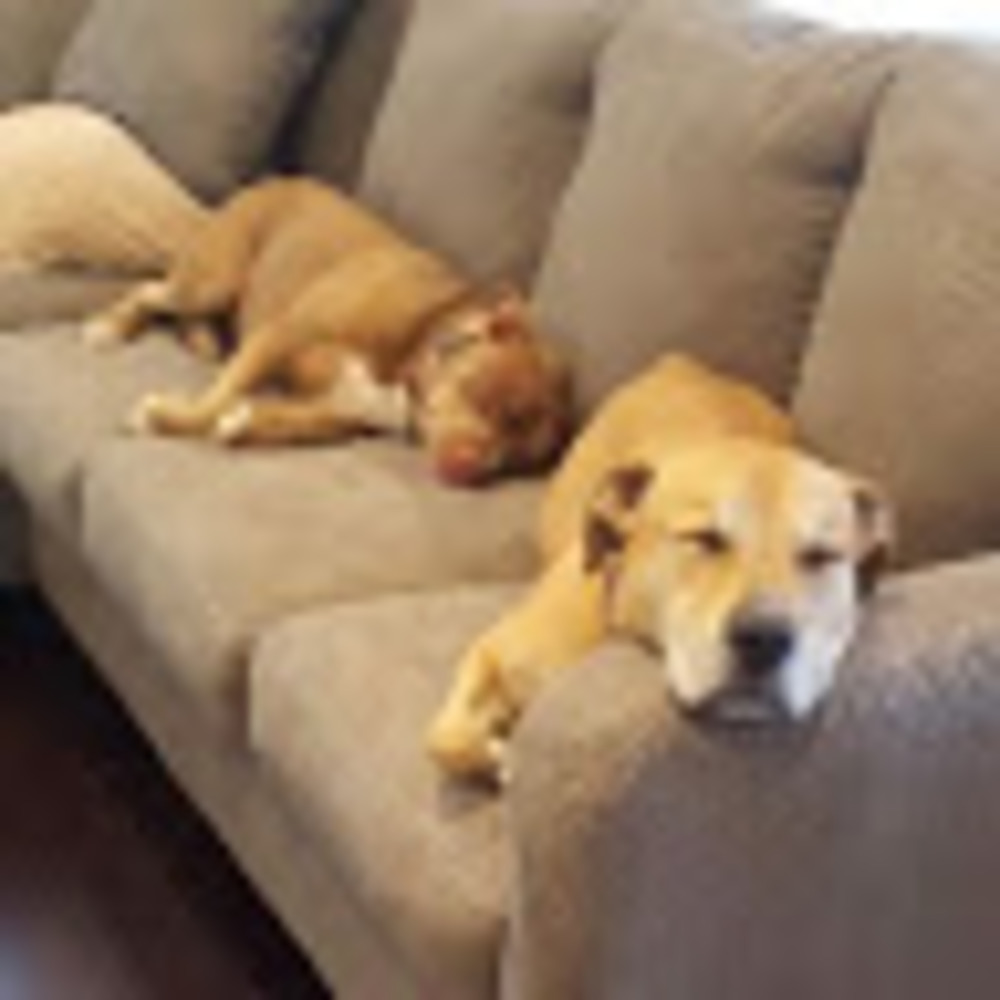 EVERYTHING BELOW IS SOLD